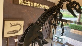 泊まれる恐竜博物館！？島根の奥出雲多根自然博物館へ。宿泊者はナイトミュージアムも。